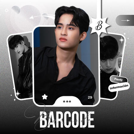 Barcode Perfil 1